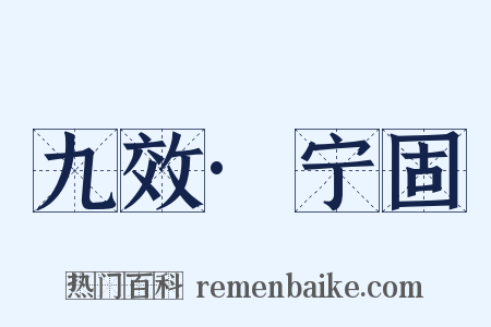 九效·宁固是什么意思的图片